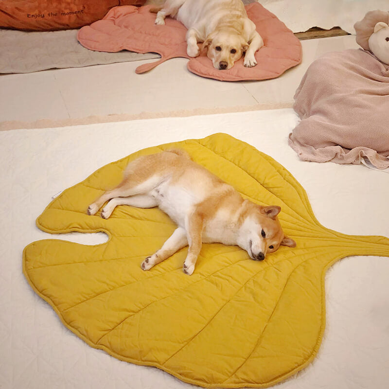 Creative Extra Large Leaf Pet Mat, Washable and Thick