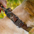 Tactical High Elasticity Dog Chain Traction Rope