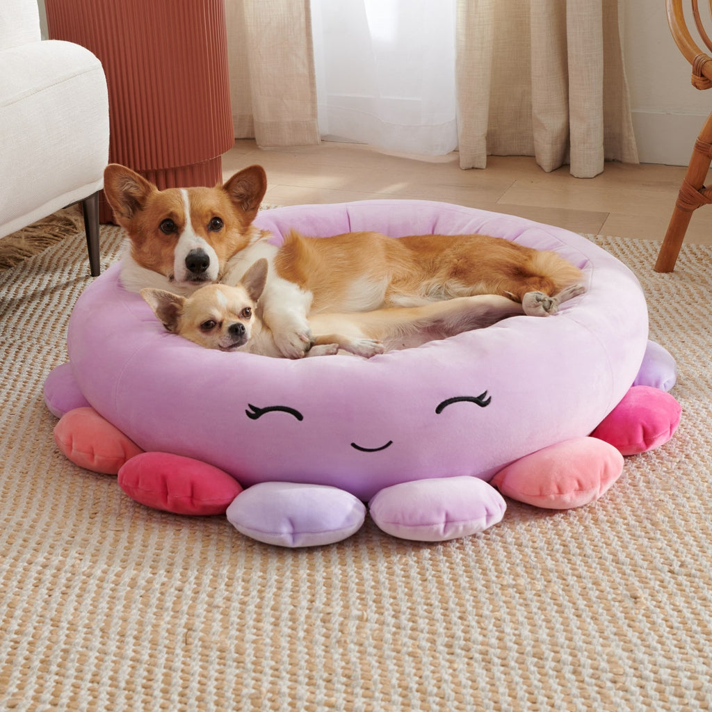 Animals & Fruits Pet Bed