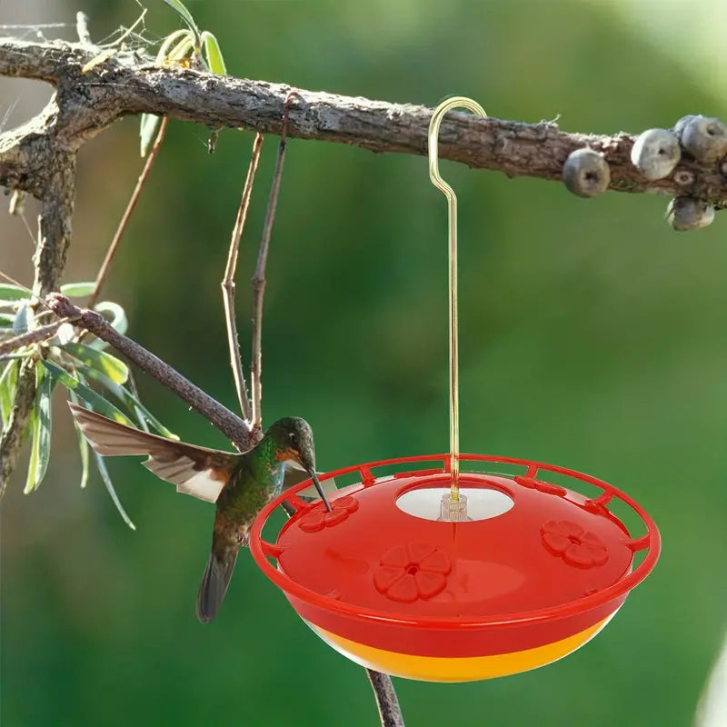 Hummingbird Feeder with 5 Ports and Hanging Hook