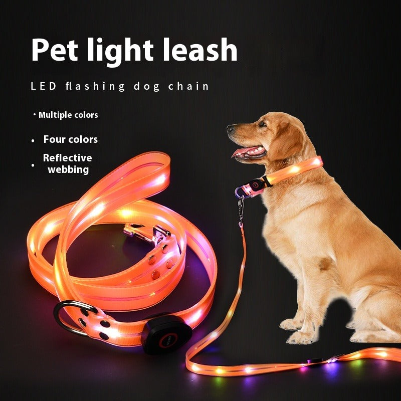 LED Light-Up Pet Collar & Leash