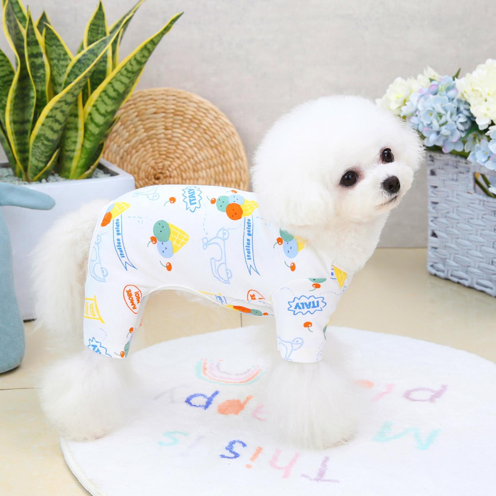 Casual Fashion Clothing for Four-Legged Pets