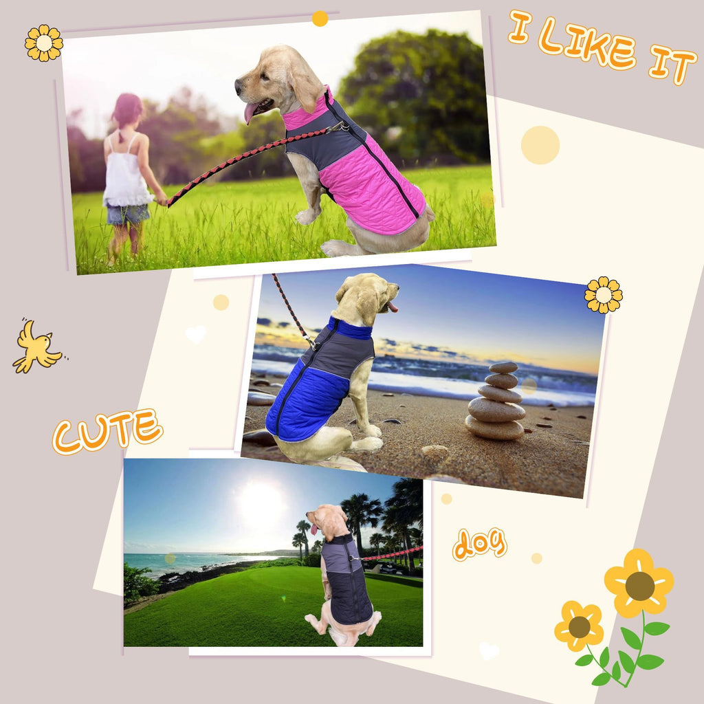 Waterproof Winter Dog Jacket (XS–3XL)