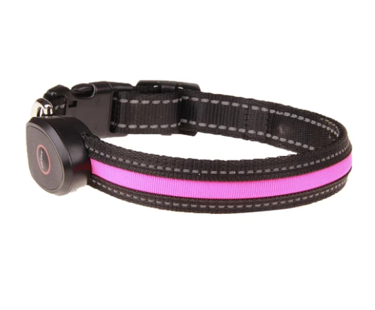 Luminous Dog Collar for Nighttime Visibility