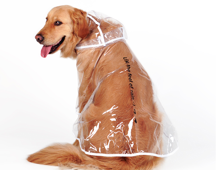 Dog Raincoat for Large and Medium Breeds (Golden, Husky)