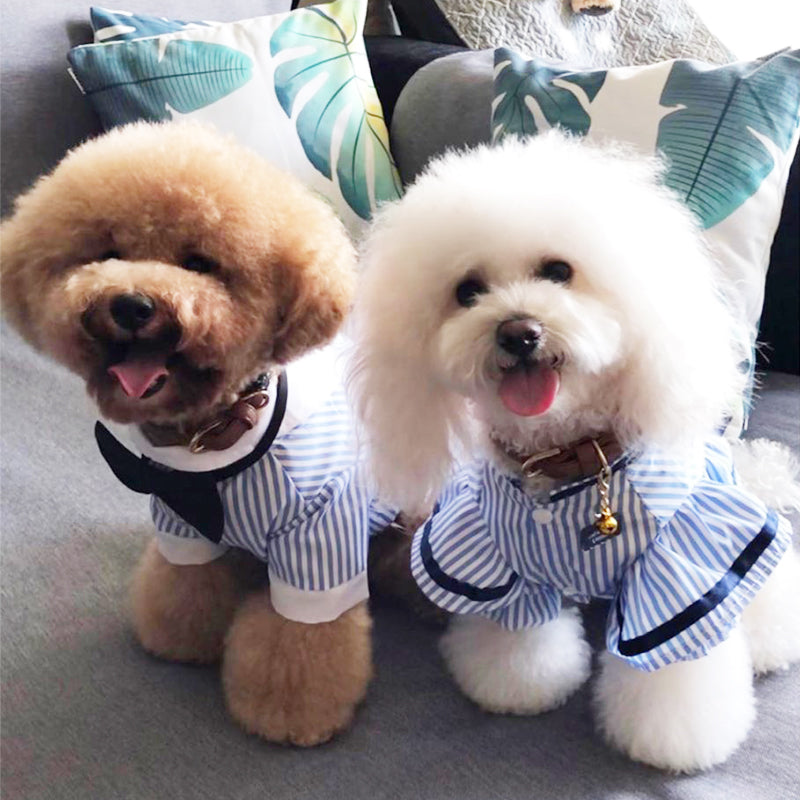 British Style Pet Clothing for Dogs - Breathable Spring/Summer
