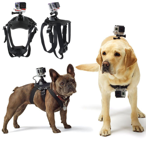 Pet Dog Harness with Front Strap for Secure Fit