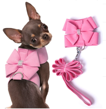 Princess Style Dog Leash and Harness Set with Bowknot