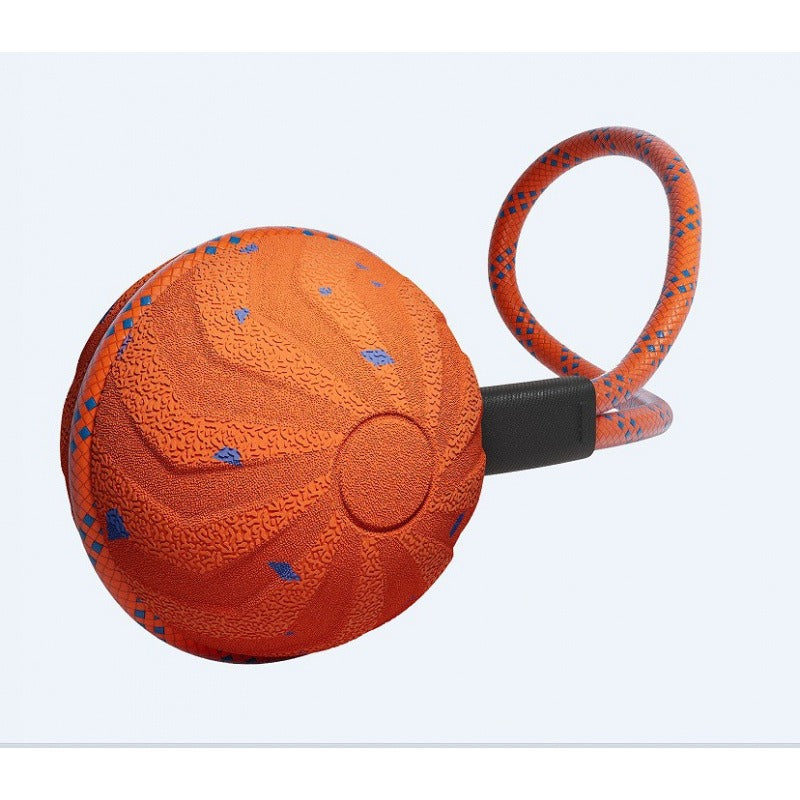 Electric Rolling Pet Teething Toy Ball