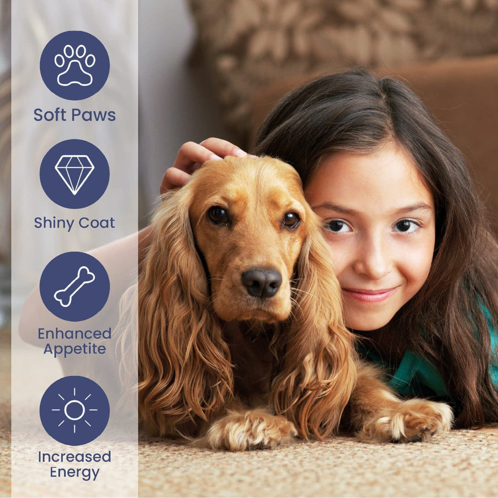 Premium Salmon Oil for Dogs, 500ml