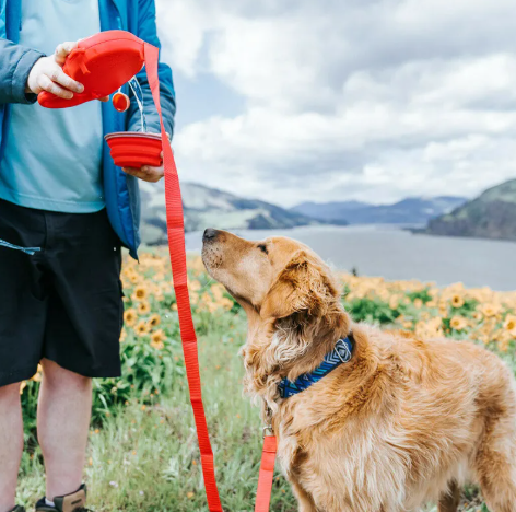 Portable Dog Leash with Built-in Water Bottle