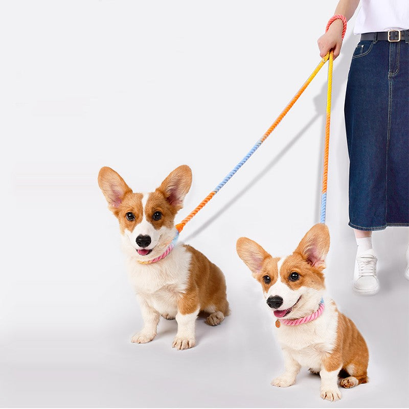 Multi-Functional Dual Head Dog Leash for Pets