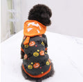 Funny black cat, standing up, wearing dog, cat, pet clothes