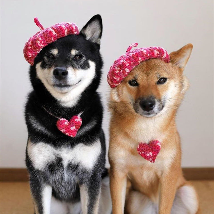 Cute DIY Mini Hand-Knitted Mixed Color Beret for Pets