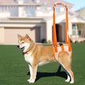 Adjustable Dog Lift Harness for Weak Hind Legs Support