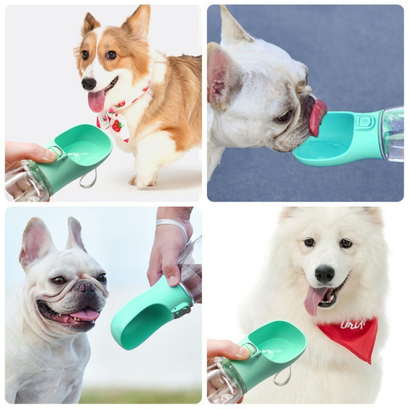 Pet Water Cup