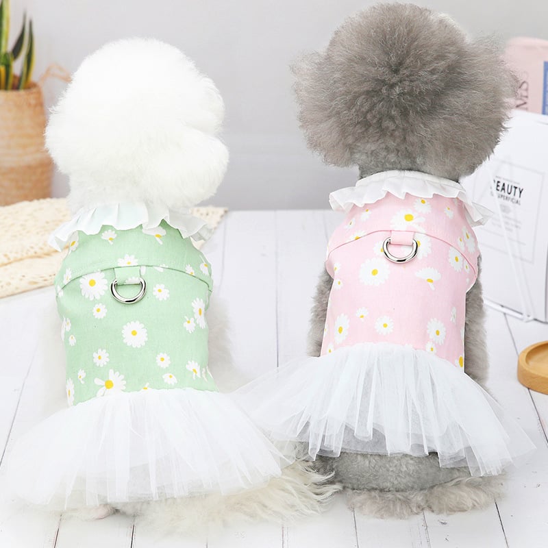 Cute Princess Dress for Small Bichon Dogs