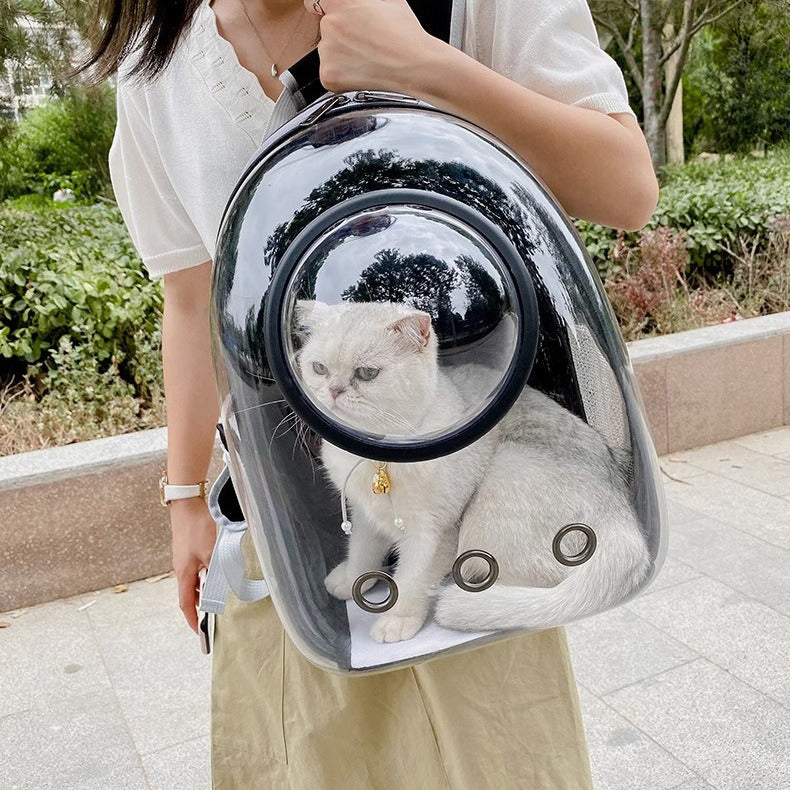 Transparent Cat Carrier Backpack
