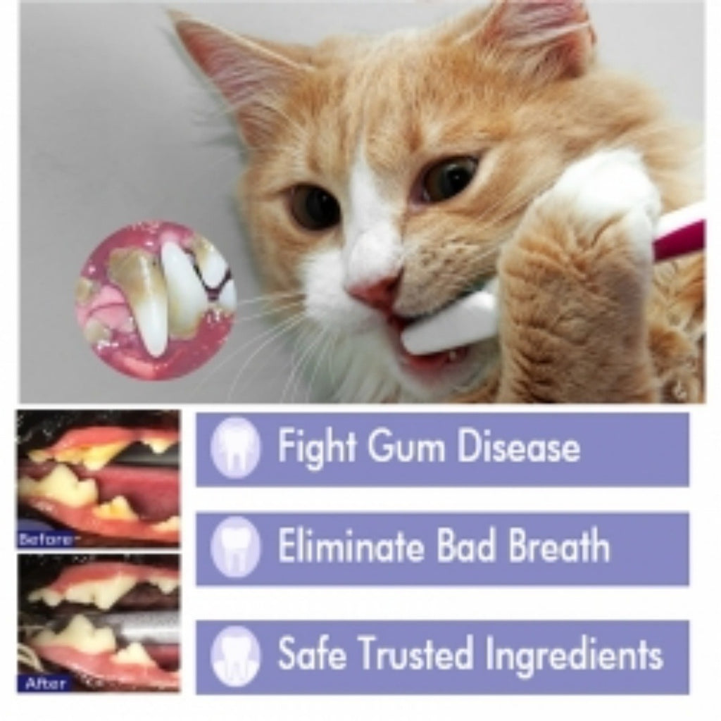 Pet Mouth Cleaning Cream for Cats & Dogs