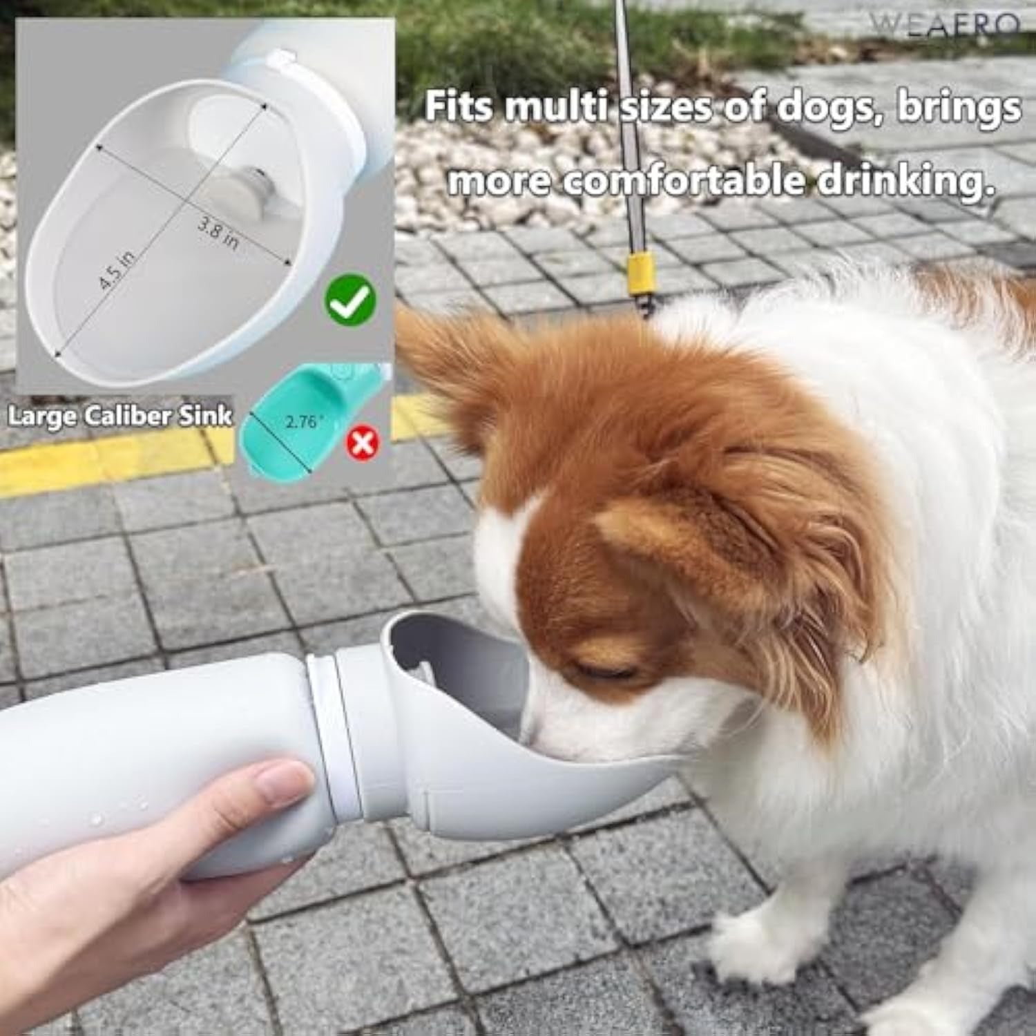 Foldable Dog Water Bottle