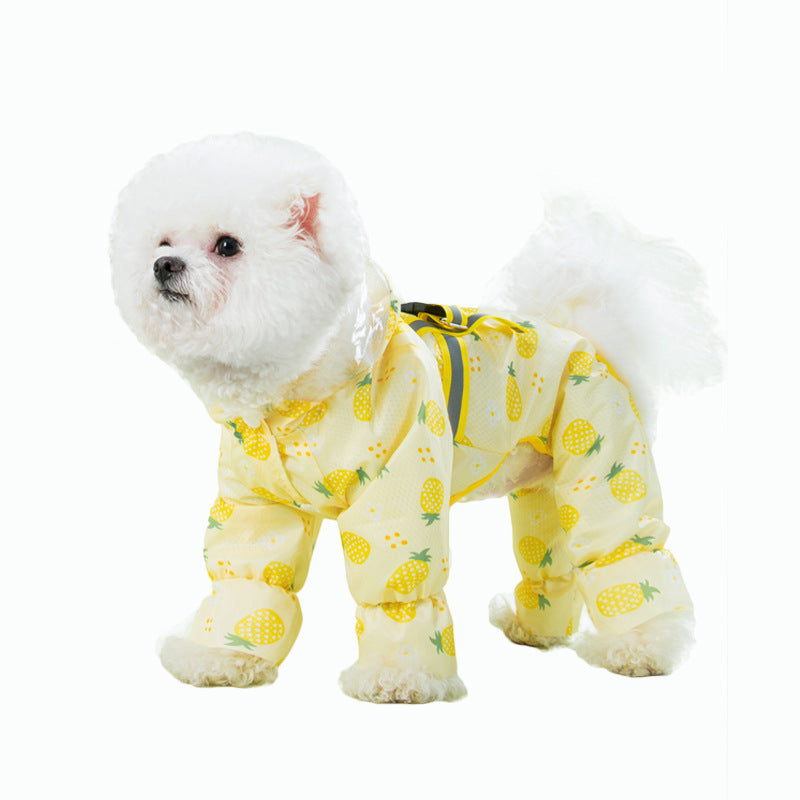 Fruit Printed Waterproof Raincoat for Puppy