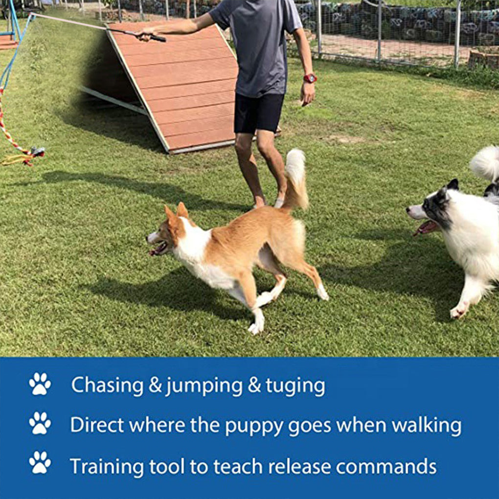 Portable Interactive Pet Training Toy for Outdoor Play
