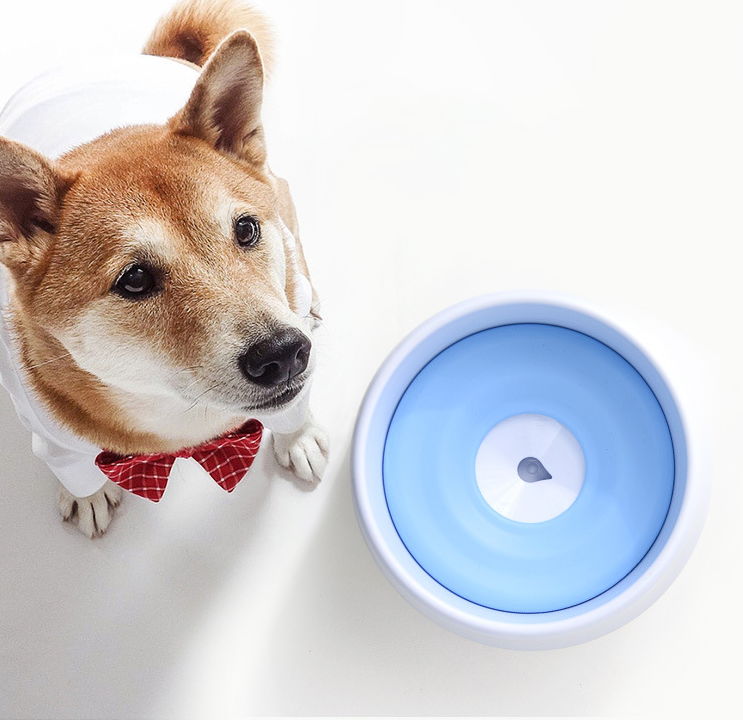 Automatic Pet Water Bowl with Splash-Free Design