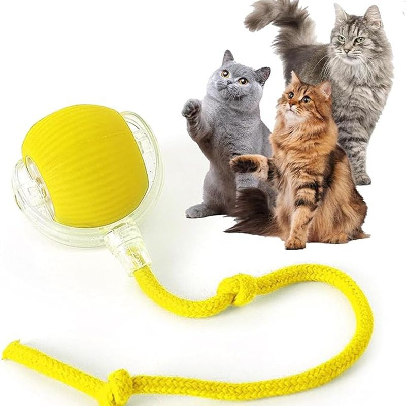 Cat Interactive Rolling Ball Toy