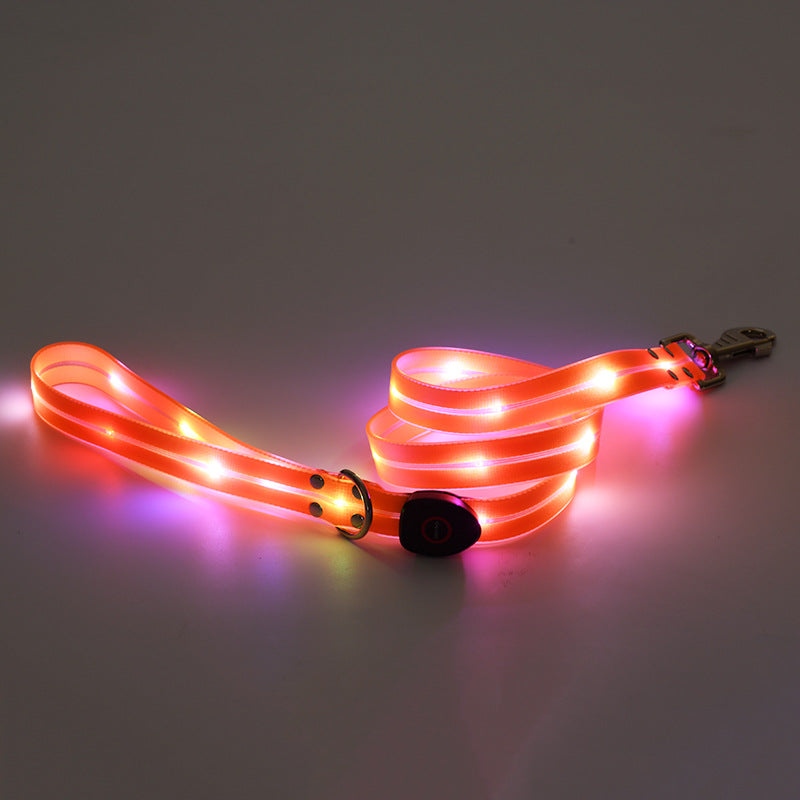 Rechargeable LED Luminous Nylon Pet Collar & Tow Rope