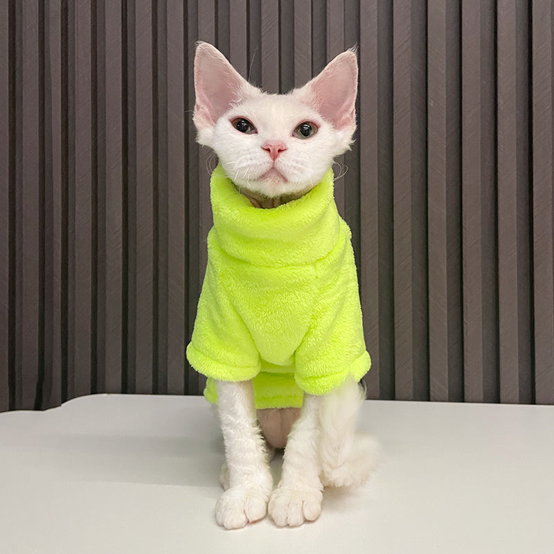 "Fashionable Clothing for Hairless Cats"