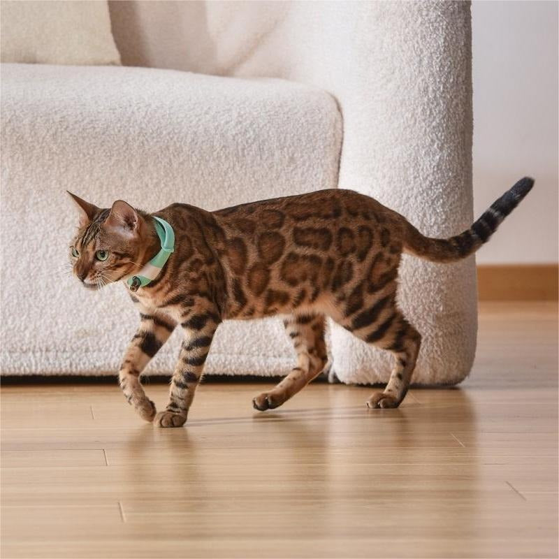 Interactive Laser Cat Collar