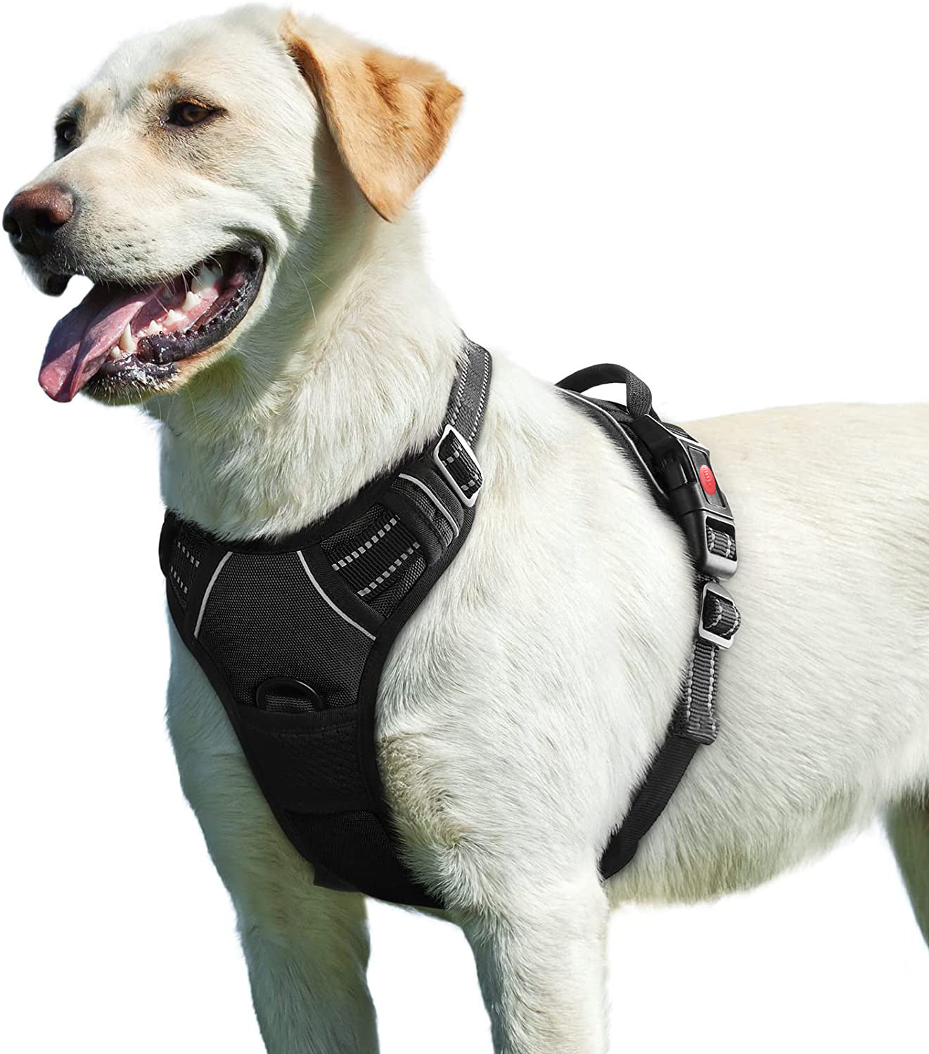 Teddy's Fund Fur Vest Chest Strap