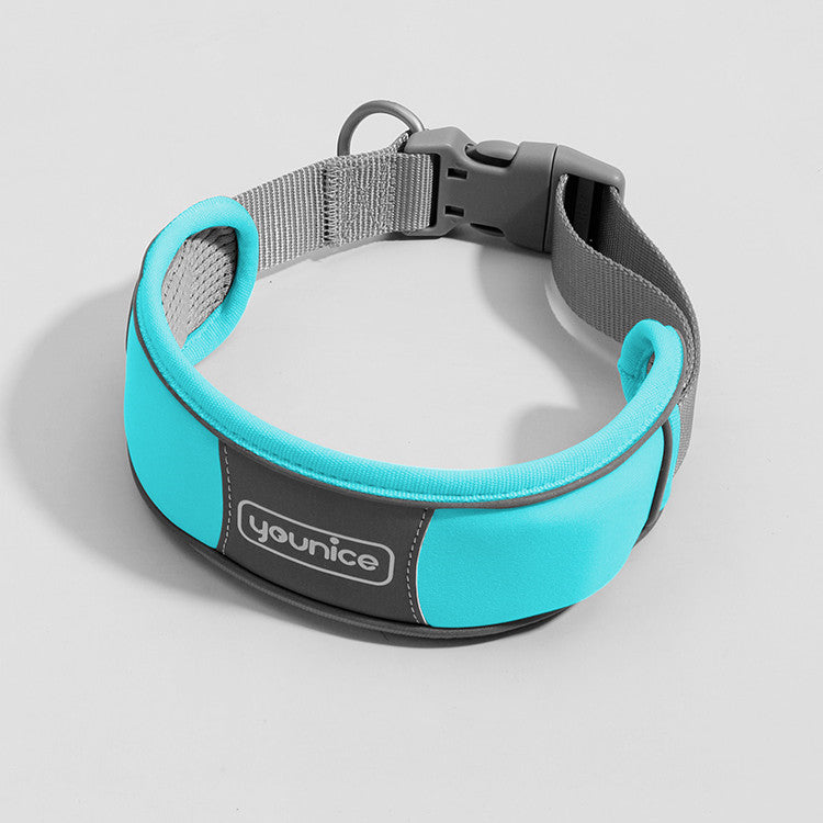 Cute Dog Collar and Leash - Explosion-Proof Design