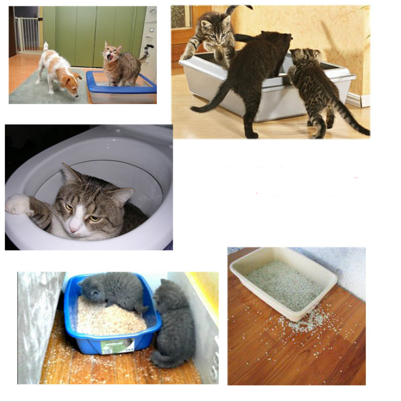 Extra Large Enclosed Cat Litter Box and Toilet