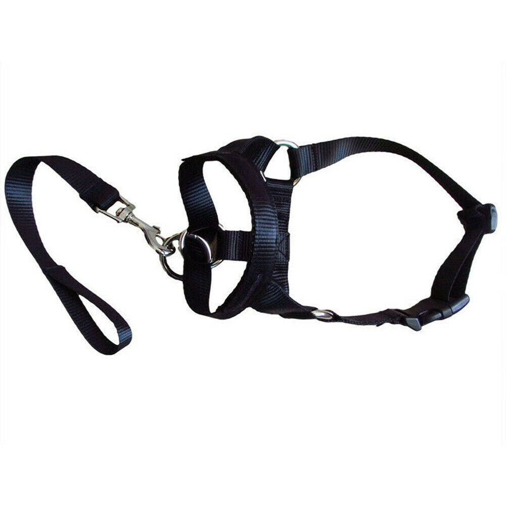Dog Muzzle & Leash, Nylon