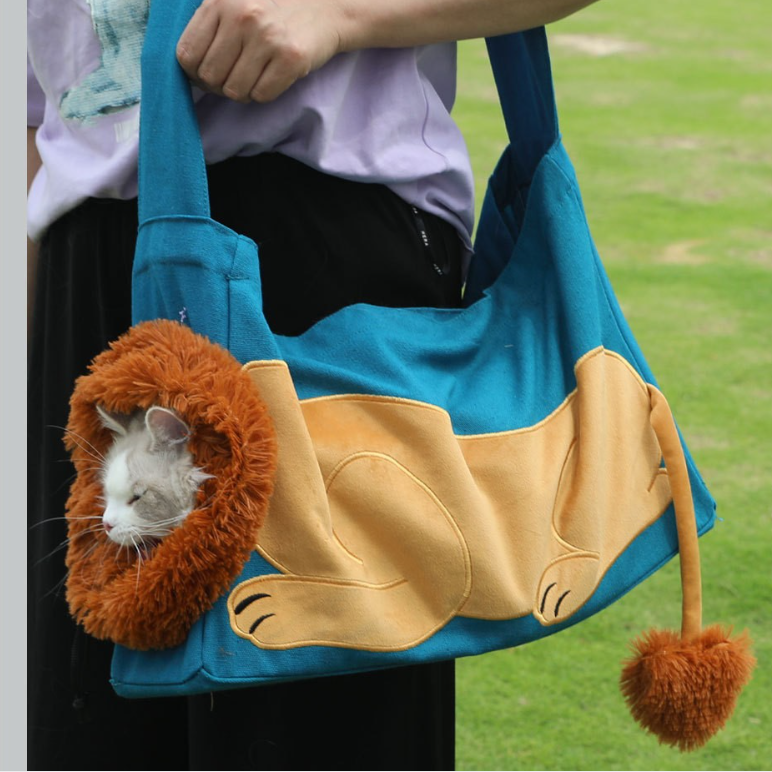 Lion Head Cat Pet Backpack for Camping & Outdoors