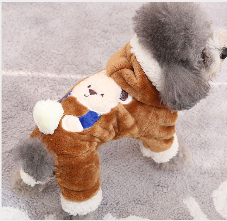 Warm Snowball Bear Clothing Transformation