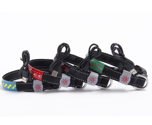 LED Light-Up Pet Collar