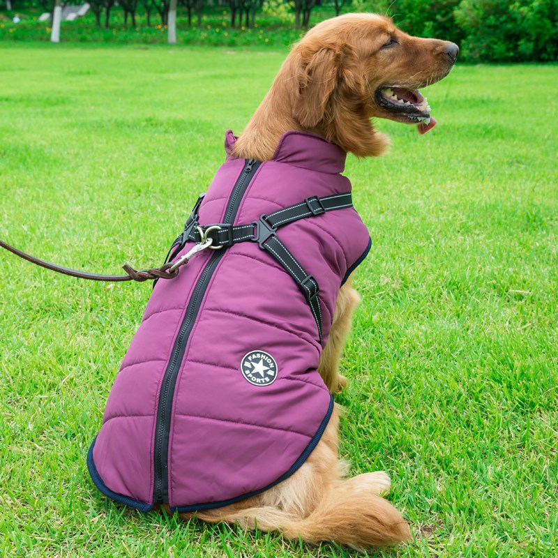Autumn Winter Warm Dog Jackets for Medium Large Breeds
