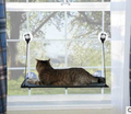 Cat Bed with Removable Washable Suction Cups