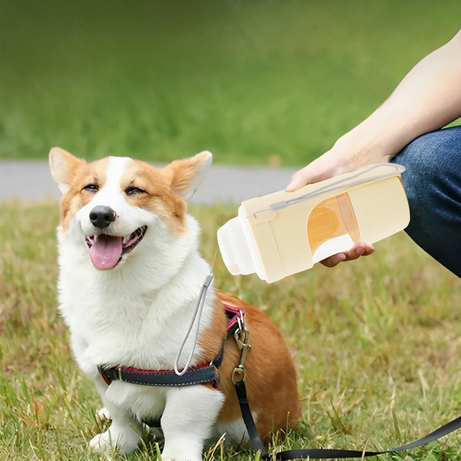 2-in-1 Travel Dog Water Bottle and Feeder
