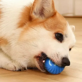 SmartDog Automatic Spinning Ball for Dogs (One Piece)