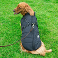 Autumn Winter Warm Dog Jackets for Medium Large Breeds