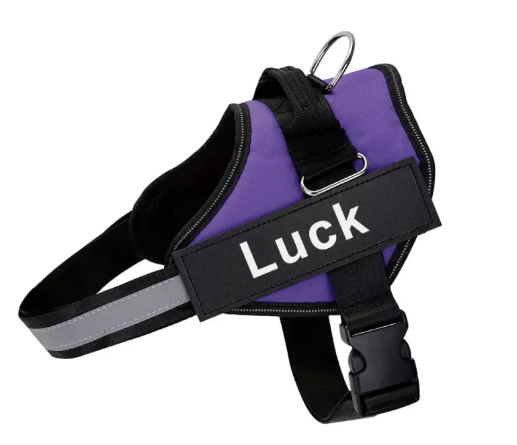 K9 Pet Leash and Harness