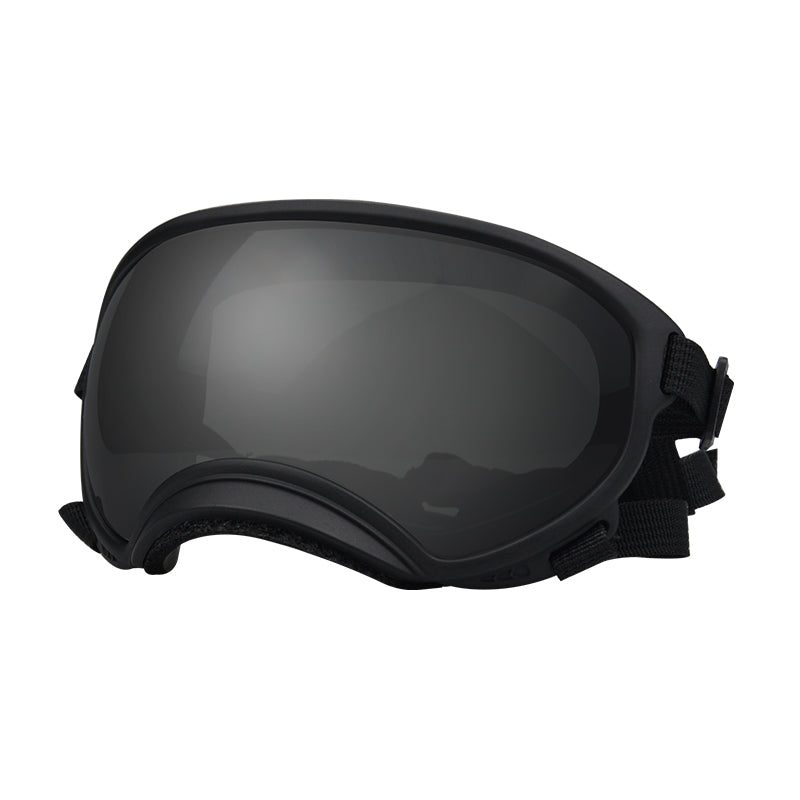 Fashionable Dog Skiing Goggles for Unique Style