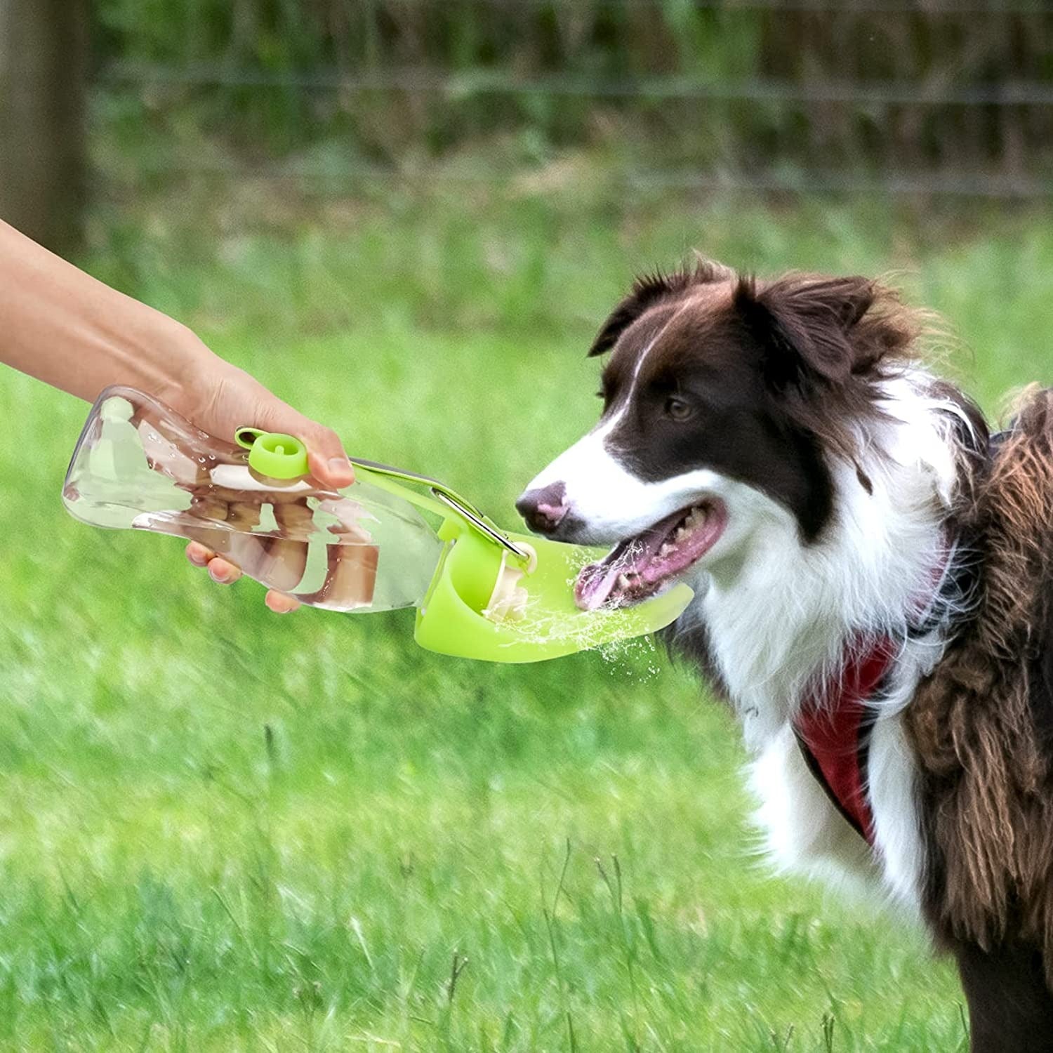 Portable Pet Water Dispenser with Bowl