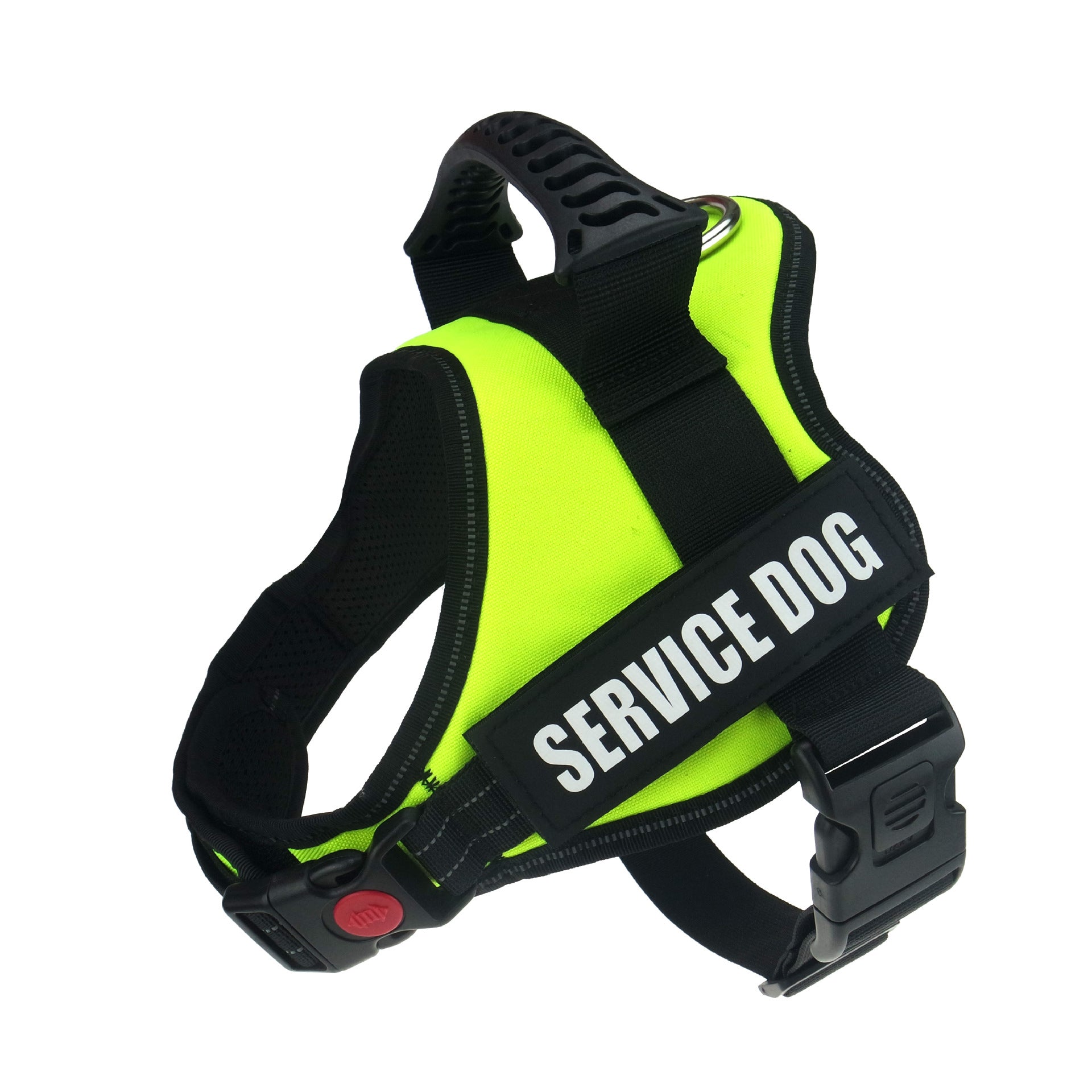 Large Dog Chest Harness with Collars and Lead Rope