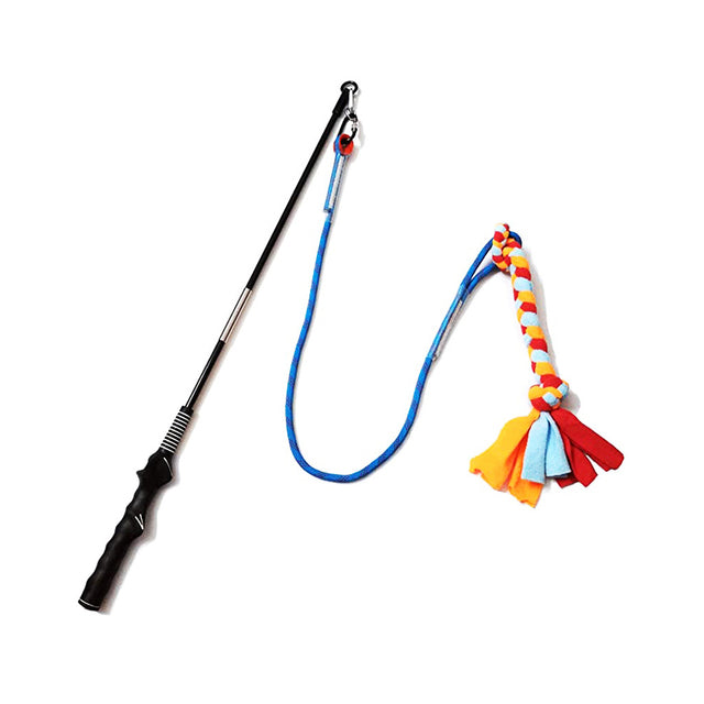 Portable Interactive Pet Training Toy for Outdoor Play