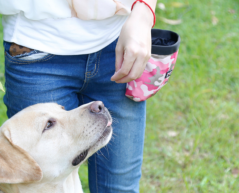 Multifunctional Camouflage Training Pet Bag