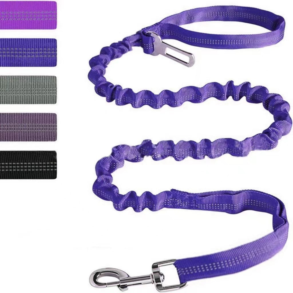 Reflective Polyester Dog Leash